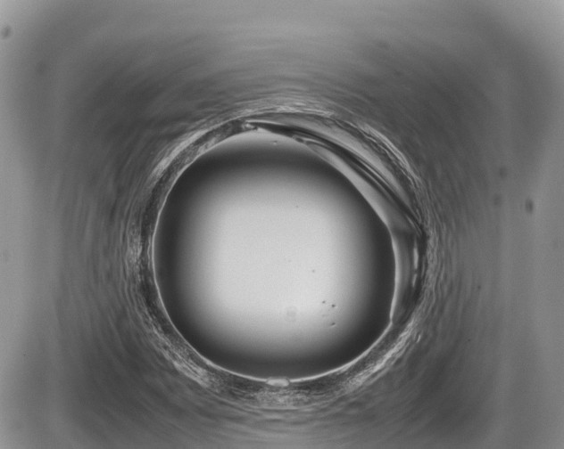 X0000087401065200704201302