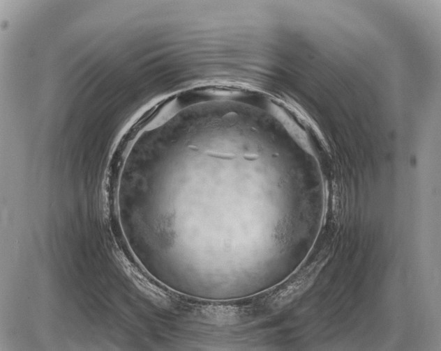 X0000087401068200704201302