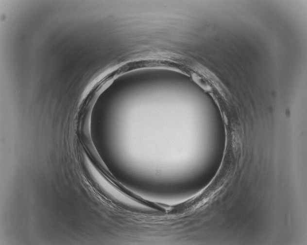 X0000087401069200704201302