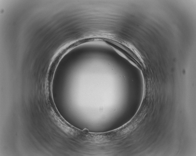 X0000087401072200704201301