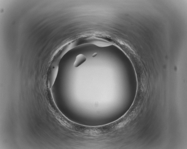 X0000087401073200704201301