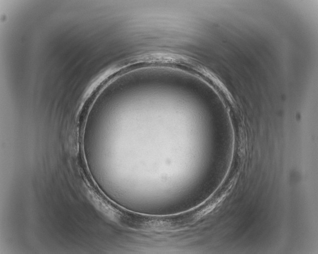 X0000087401075200704201301