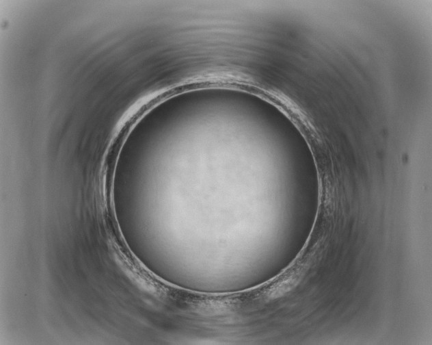 X0000087401078200704201301