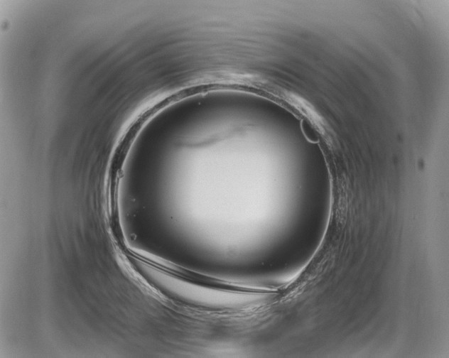 X0000087401080200704201301