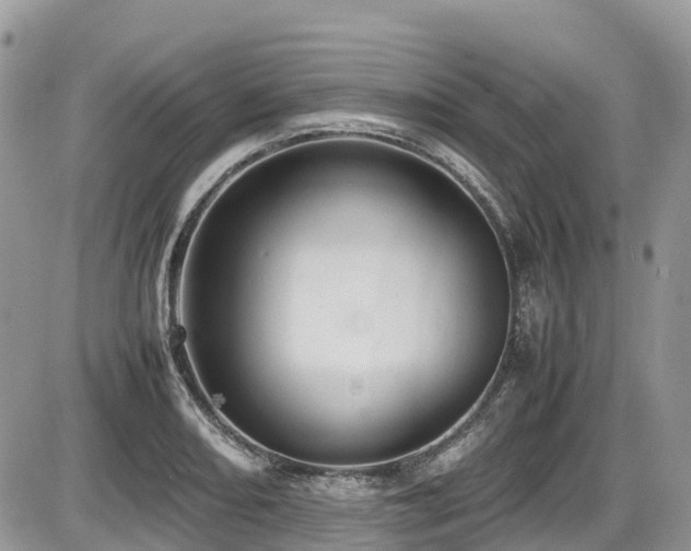 X0000087401082200704201301