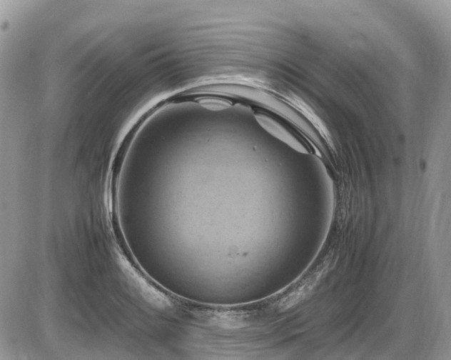 X0000087401084200704201301