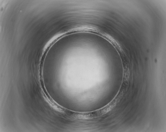 X0000087401086200704201301