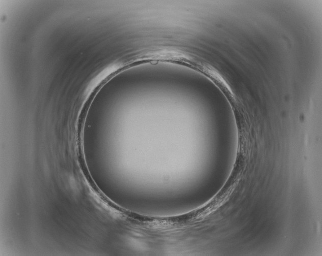X0000087401087200704201301