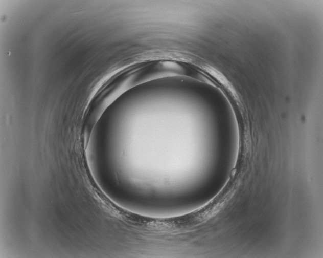 X0000087401089200704201301