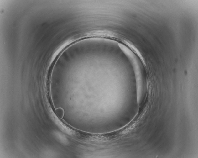 X0000087401091200704201301