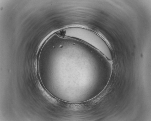 X0000087401092200704201301