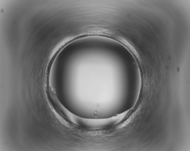 X0000087401093200704201301