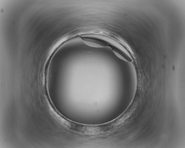 X0000087401095200704201301