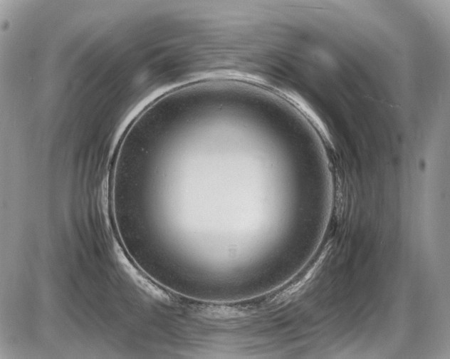 X0000087401100200704201301