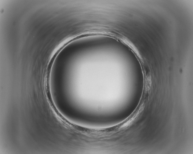 X0000087401101200704201301