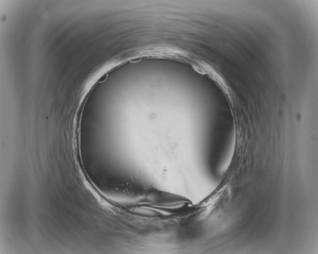 X0000087401103200704201301