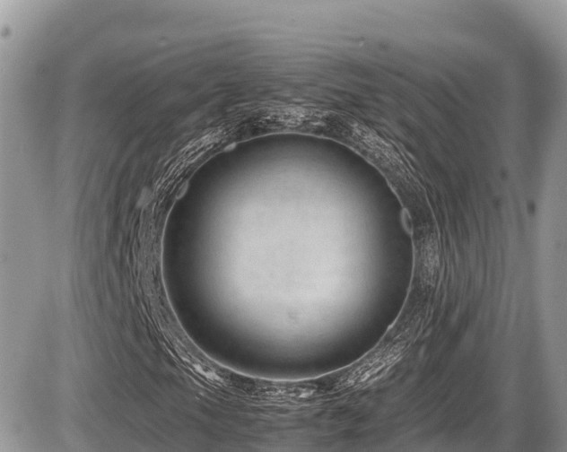 X0000087401105200704201300