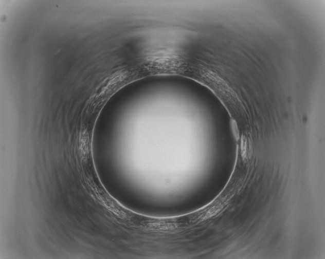 X0000087401107200704201300