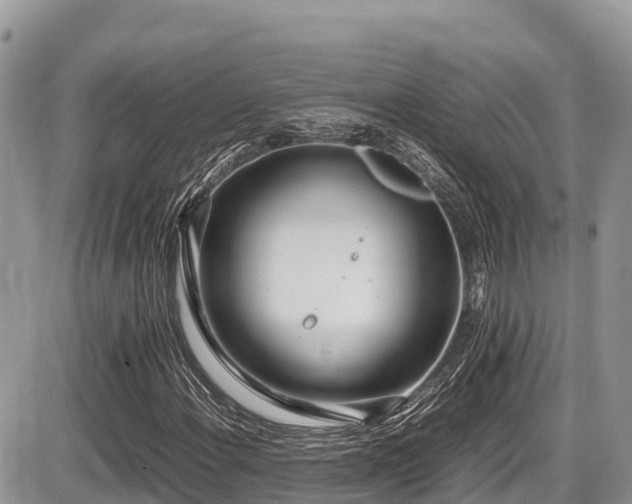 X0000087401108200704201300