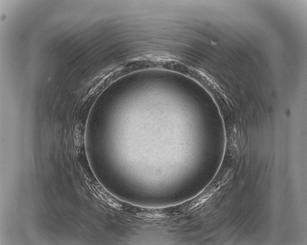 X0000087401110200704201300