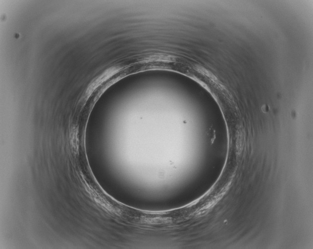 X0000087401113200704201300