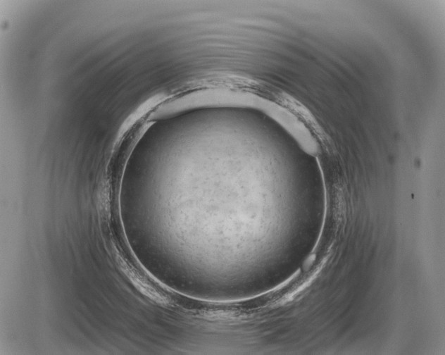 X0000087401114200704201300