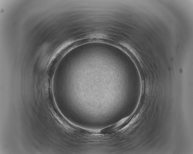 X0000087401115200704201300
