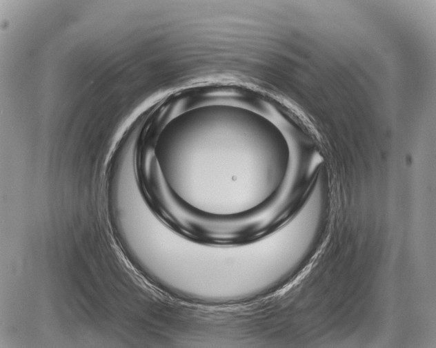 X0000087401118200704201300