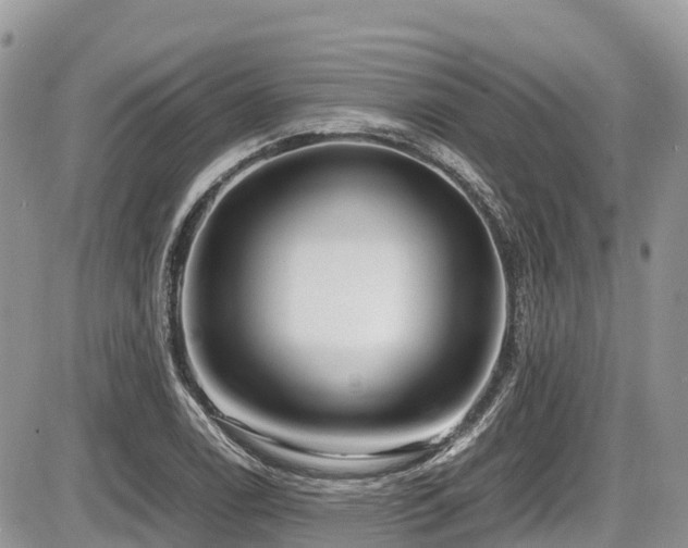 X0000087401122200704201300