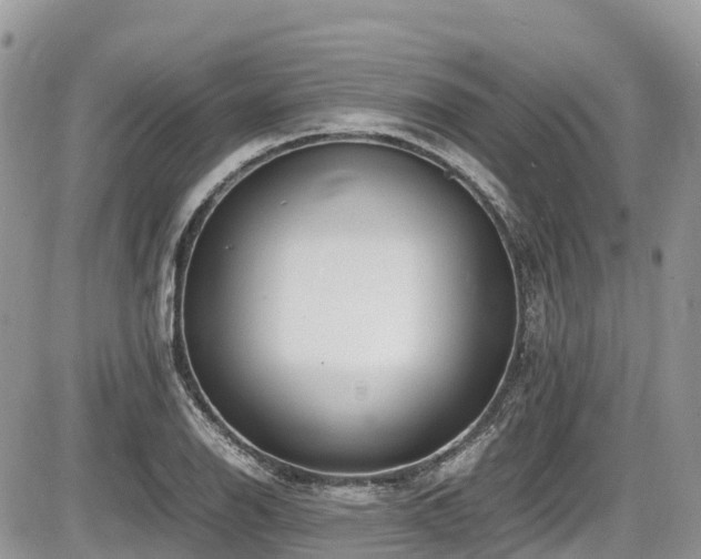 X0000087401126200704201301