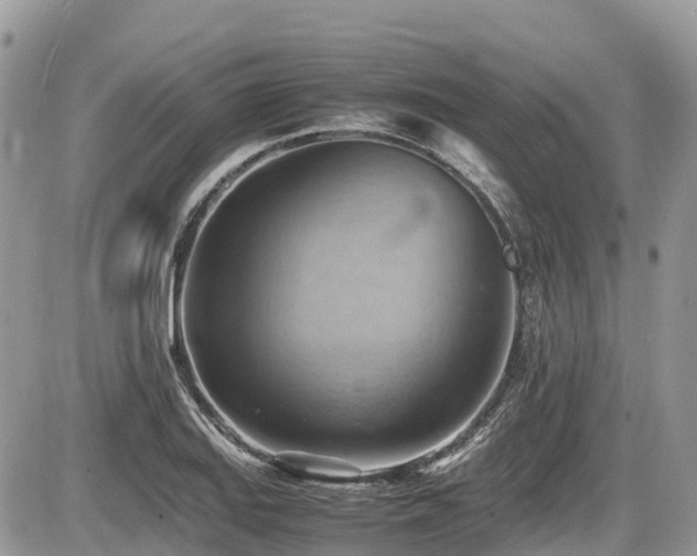 X0000087401127200704201301