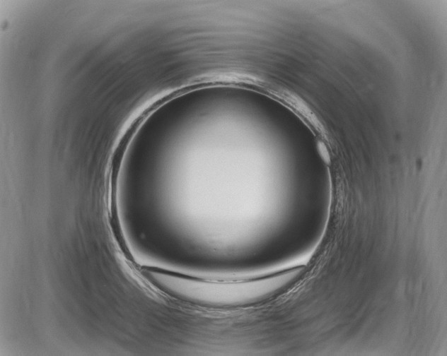X0000087401132200704201301