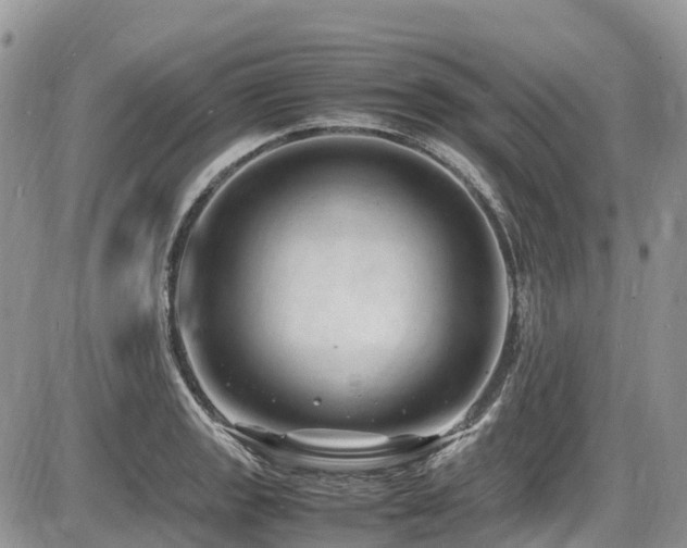 X0000087401133200704201301