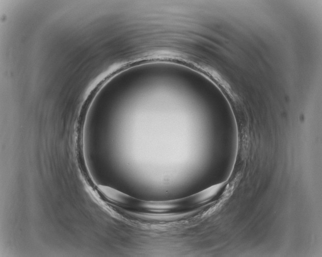 X0000087401134200704201301
