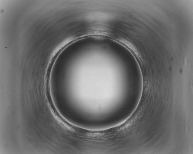 X0000087401135200704201301