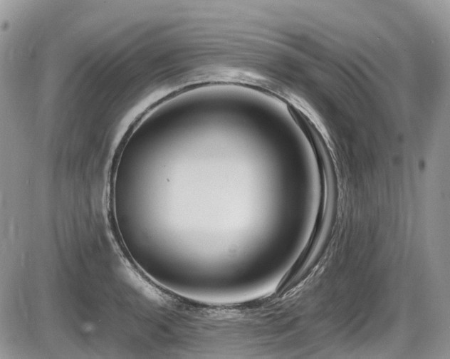 X0000087401136200704201301
