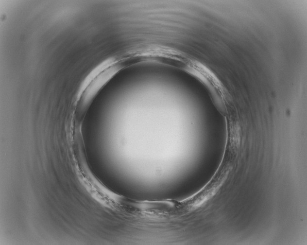 X0000087401138200704201301