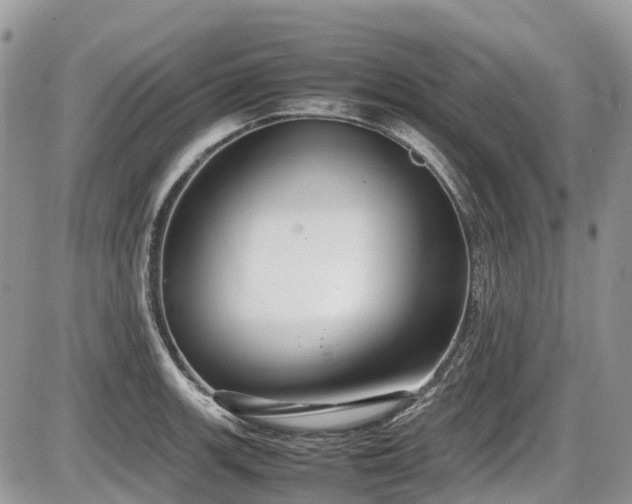 X0000087401139200704201301