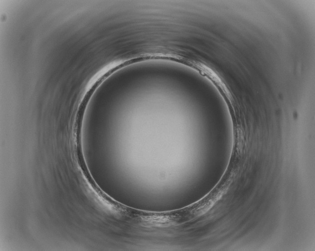 X0000087401141200704201301