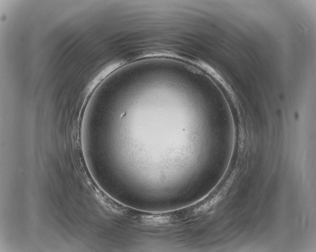 X0000087401145200704201301