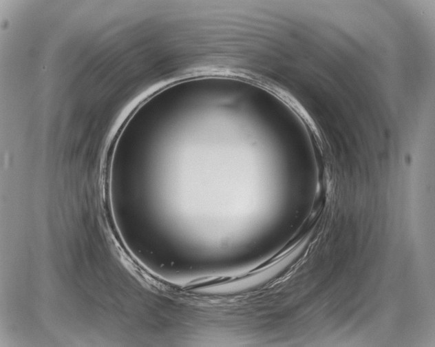 X0000087401148200704201301
