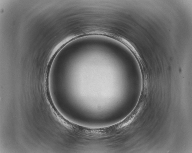 X0000087401149200704201301