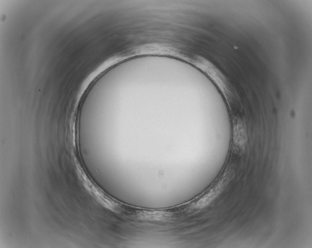 X0000087401150200704201301