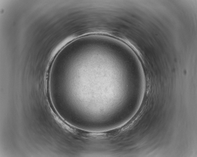 X0000087401151200704201301