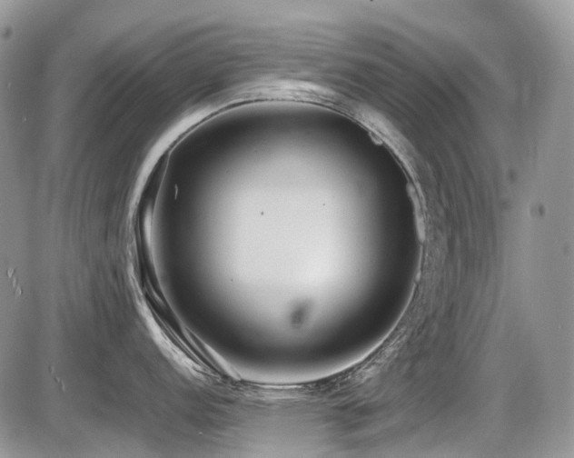 X0000087401152200704201301