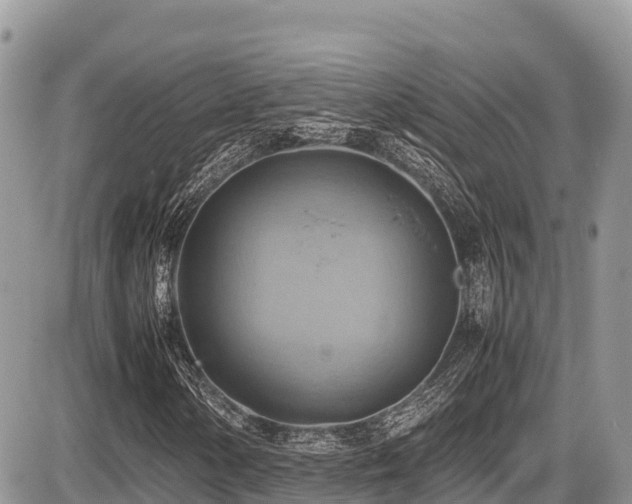 X0000087401154200704201300