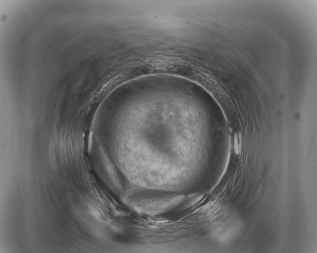 X0000087401155200704201300