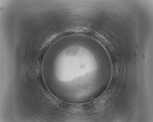 X0000087401158200704201300