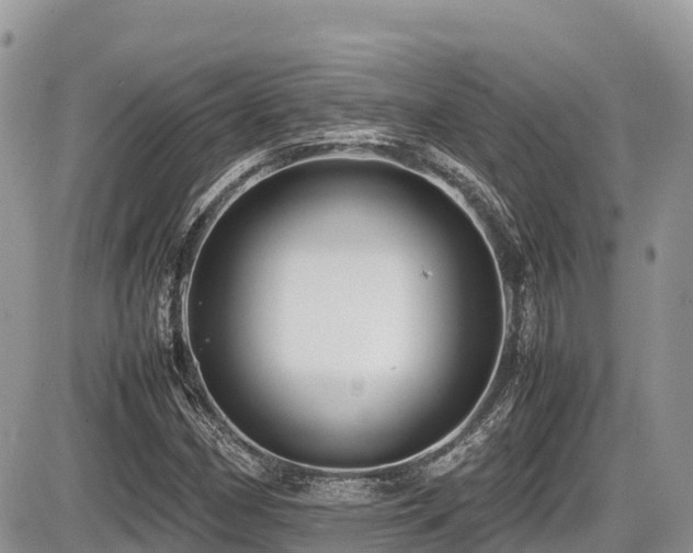 X0000087401162200704201300