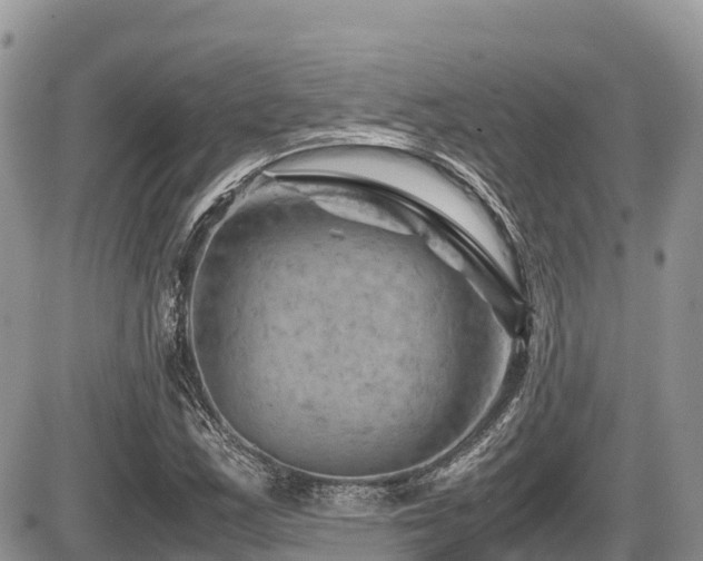 X0000087401163200704201300
